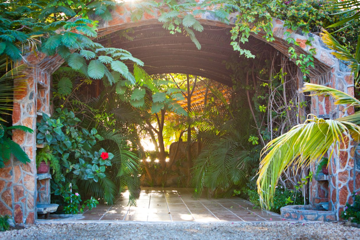 Boutique Hotels vs. Vacation Rentals in Todos Santos: Which One Unlocks Your Next Getaway?