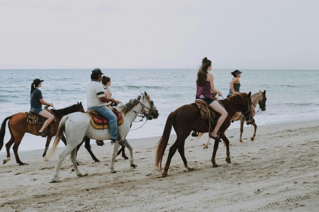 Things to do in Todos Santos BCS Mexico - Horseback Riding